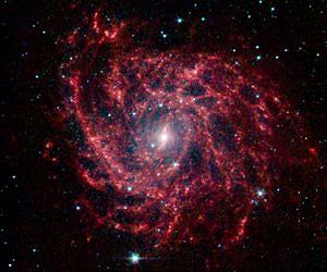 Spitzer Sees Spider Web of Stars