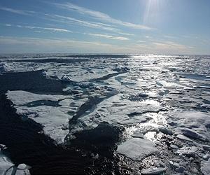 Scientists sound alarm at Arctic Ocean's rapid acidification