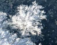 Same forces as today caused climate changes 1.4 billion years ago