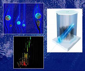 Where do the highest-energy cosmic rays come from?