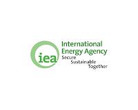 High energy prices threaten economic damage, but likely to continue: IEA