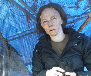 Crows react to threats in human-like way