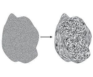 New insights into how the brain reconstructs the third dimension