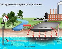 Fish bones yield new tool for tracking coal ash contamination