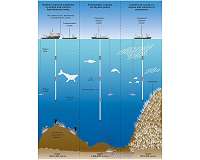 Seabed mining could destroy ecosystems