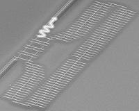 Progress in the fight against quantum dissipation