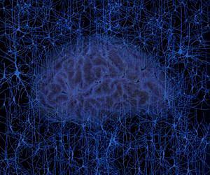 Data mining opens the door to predictive neuroscience