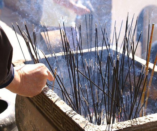 Hong Kong scientists fight to save fragrant incense trees