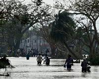 Hero dog saves Indian family in flood-hit Kerala