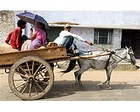 Climate fears over India's middle class-driven car boom