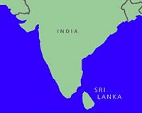 Sri Lanka seeks to trademark cinnamon spice success