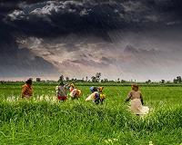 A 50-year Indian dry spell has reversed, with more rain to come
