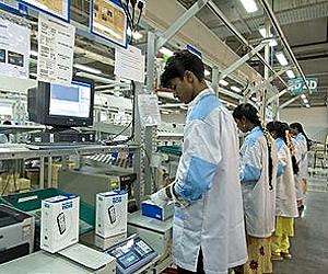 The Evolution of Division of Labour