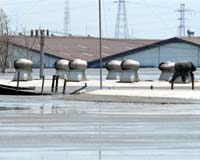 Indonesia Allots One Billion Dollars To Prevent Floods