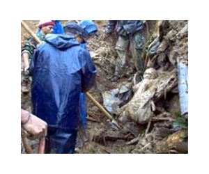 Nine killed in Indonesian landslide