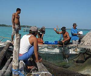 Balancing Biodiversity And Development In Small Fishing Communities