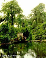 EU Bio-Fuel Demand Threatens Indonesian Forests