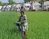 Indonesian officials ride bicycles to fight global warming: official