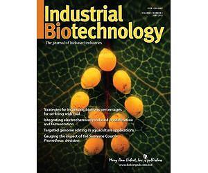 Strategies to improve renewable energy feedstocks