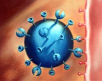 Using Biostatistics To Detect Disease Outbreaks