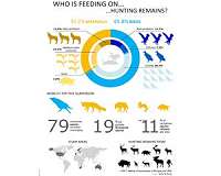 Almost 80 species scavenge hunting remains worldwide