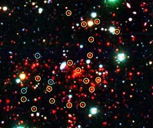 Massive Early Galaxy Cluster Observed