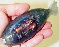 Synthetic fish measures wild ride through dams