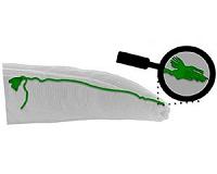 Researchers discover first sensor of Earth's magnetic field in an animal