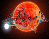 Interactive Binary Stars Show Signs Of Induced Hyperactivity