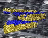 Weak hydrogen bonds key to strong, tough infrastructure