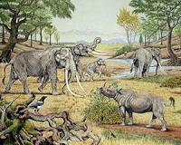 Large mammals were the architects in prehistoric ecosystems