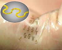 Squishy supercapacitors bathed in green tea could power wearable electronics