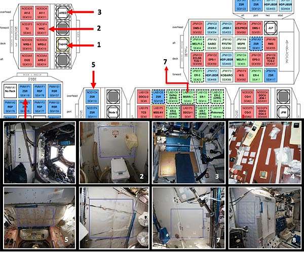 Microbes can colonize space, produce drugs and create energy