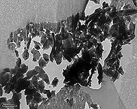Comet Particles Provide Glimpse Of Solar System's Birth Spasms