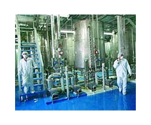 Iran says no rush to build new uranium plants