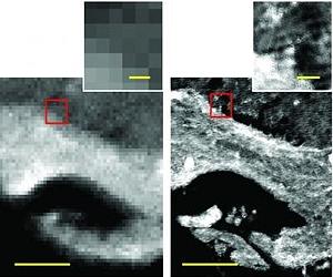 New Imaging Technique Provides Rapid, High-Definition Chemistry