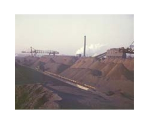 Iron ore venture with BHP likely to be delayed: Rio