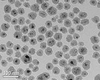 Groundbreaking technology rewarms large-scale tissues preserved at low temperatures