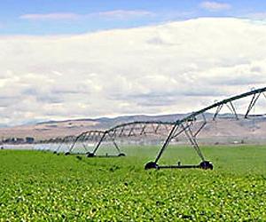 Improving 'crop per drop' could boost food and water security