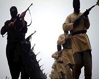 British air strikes kill 330 IS fighters: minister