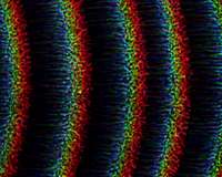 Scientists achieve first ever acceleration of electrons in plasma waves