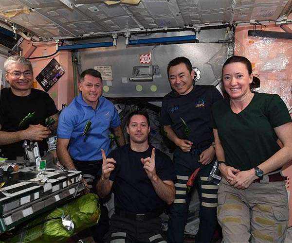 NASA, SpaceX Reviewing Commercial Crew Rotation Plans