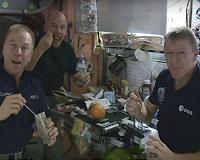 Beans to be next vegetable on astronauts' menu by 2021