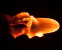 Science takes time, even in a lab moving 17,500 miles per hour