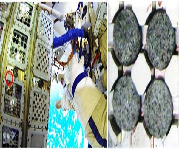 Bacterial cellulose enables microbial life on Mars