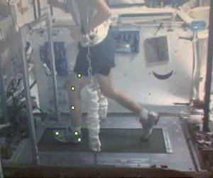Maintaining Crew Health One Step at a Time