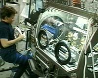 Delaware Experiment Under Way Aboard ISS