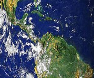 Bridge species drive tropical engine of biodiversity