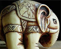 Footage of ivory smuggling tips in stores angers activists