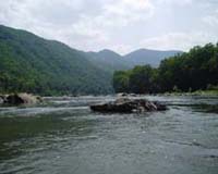 Health Of Water Supply May Be Found At The Head Of The River